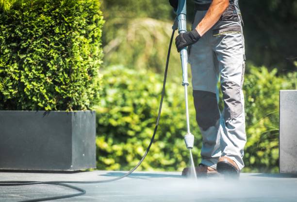 Best Roof Washing  in Lansing, MI